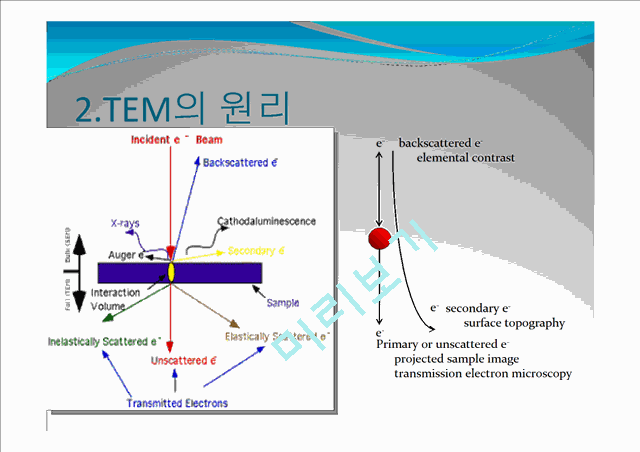 TEM 투과 전자 현미경   (4 )